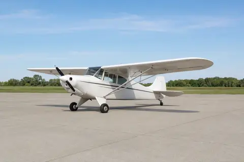 AI illustration of a Taylorcraft, not this aircraft