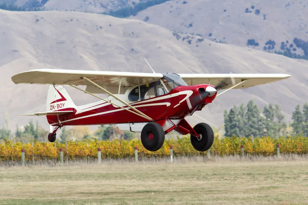 Representative photo of a Piper PA-18 Super Cub, not this aircraft
