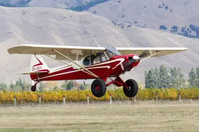 Representative photo of a Piper PA-18 Super Cub, not this aircraft