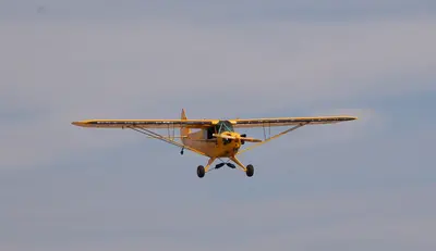 Representative photo of a Piper J-3 Cub, not this aircraft
