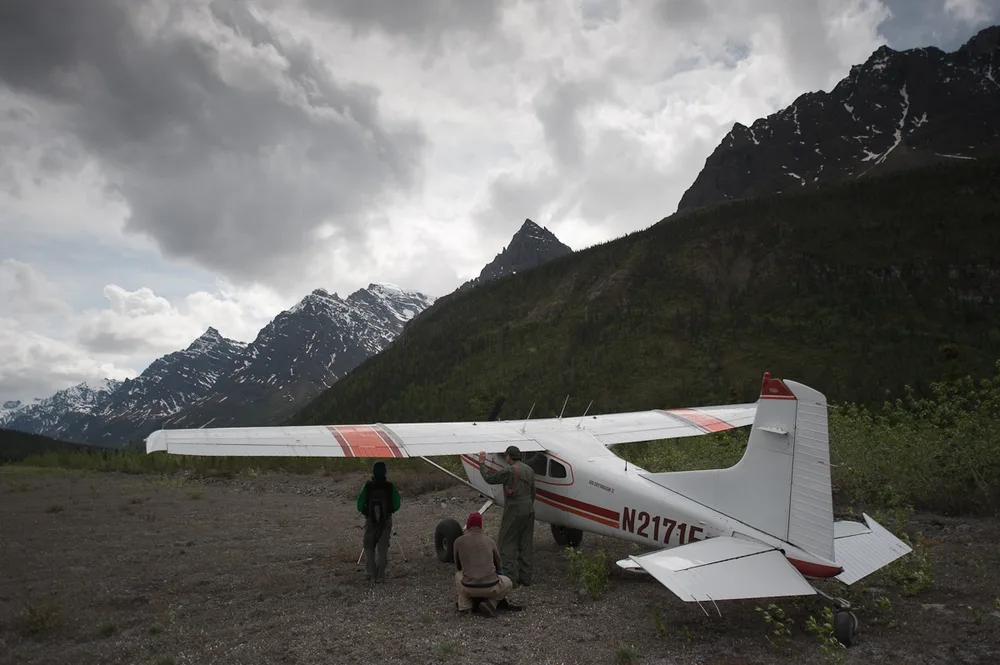 Representative photo of a Cessna 185, not this aircraft