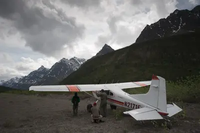 Representative photo of a Cessna 185, not this aircraft